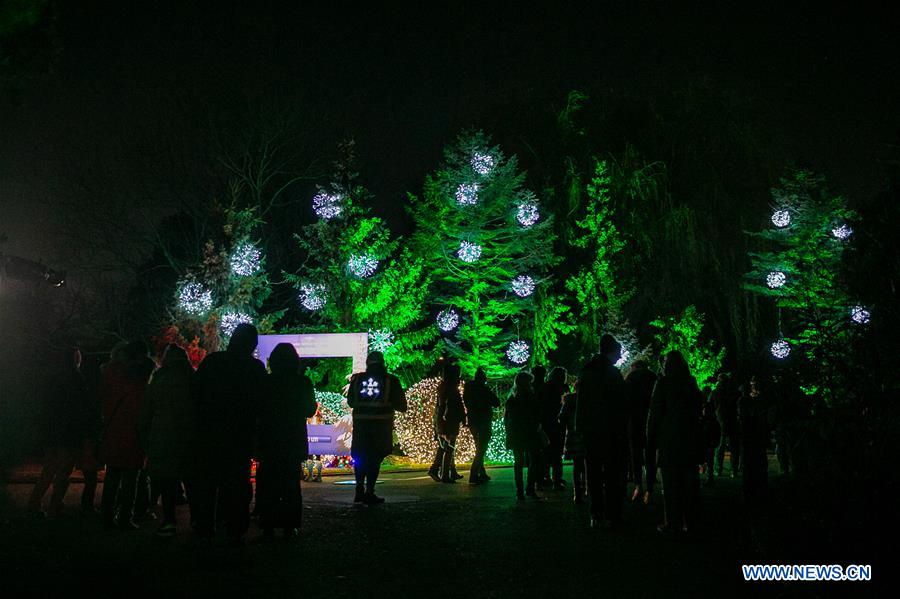 U.S.-CHICAGO-LIGHT SHOW