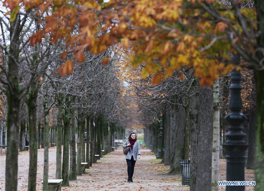 FRANCE-PARIS-AUTUMN SCENERY