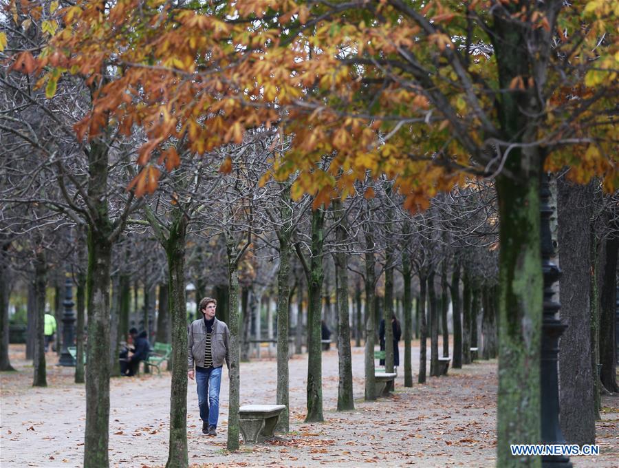 FRANCE-PARIS-AUTUMN SCENERY