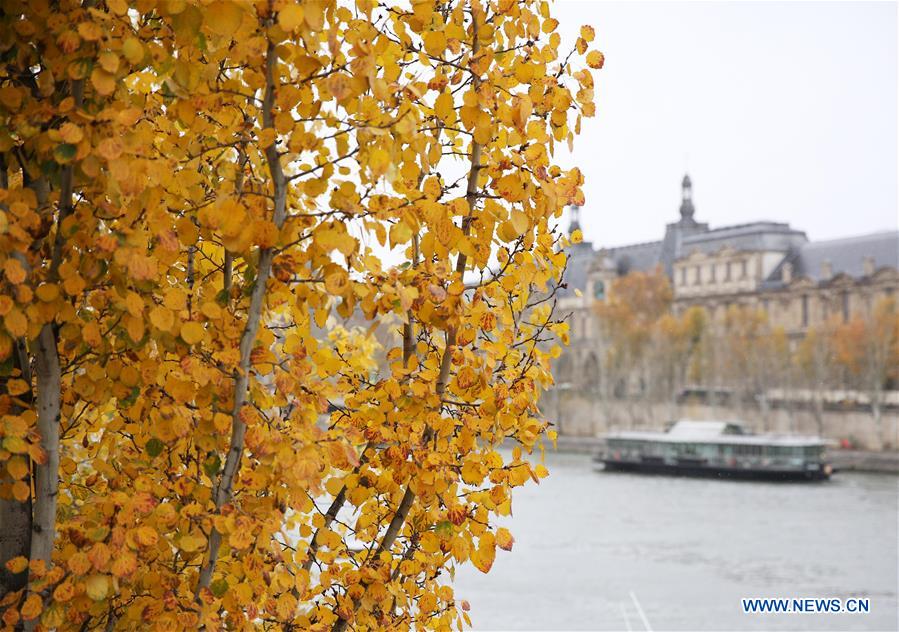 FRANCE-PARIS-AUTUMN SCENERY