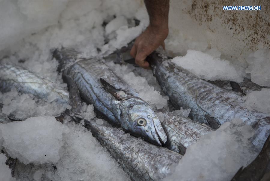 IRAN-BANDAR ABBAS-CENTRAL FISH MARKET