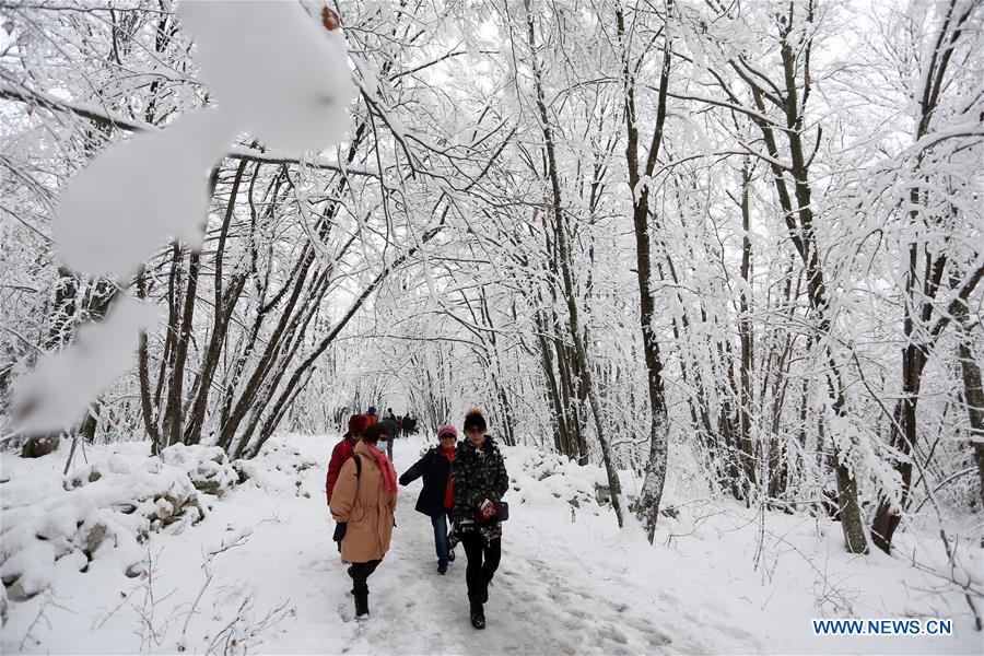 CROATIA-PLITVICE LAKES NATIONAL PARK-SNOW 