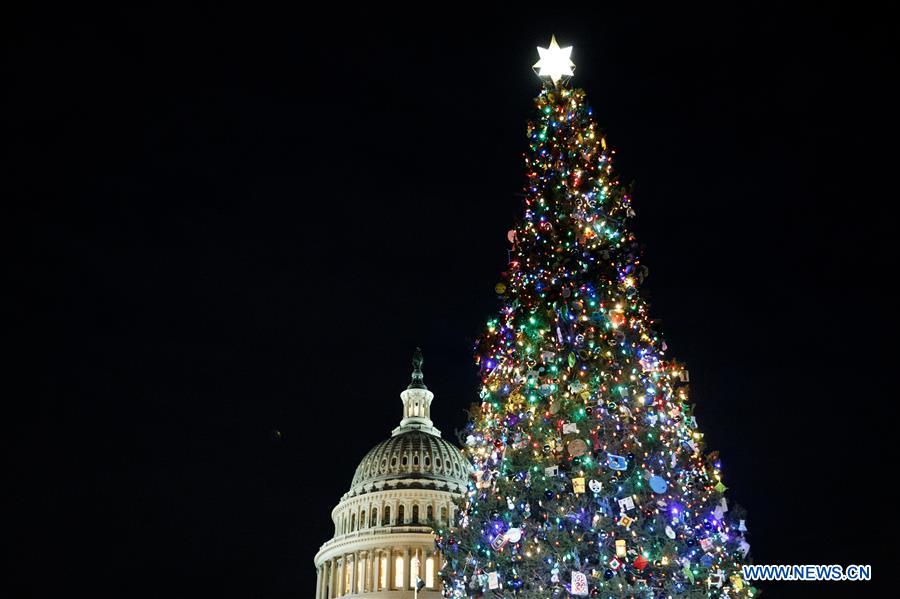 U.S.-WASHINGTON D.C.-CAPITOL CHRISTMAS TREE