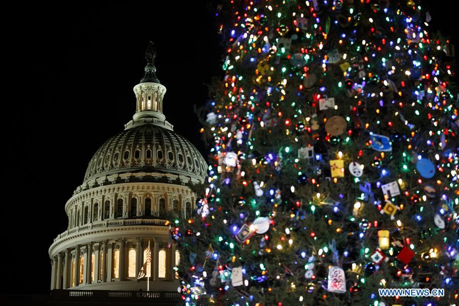 U.S.-WASHINGTON D.C.-CAPITOL CHRISTMAS TREE