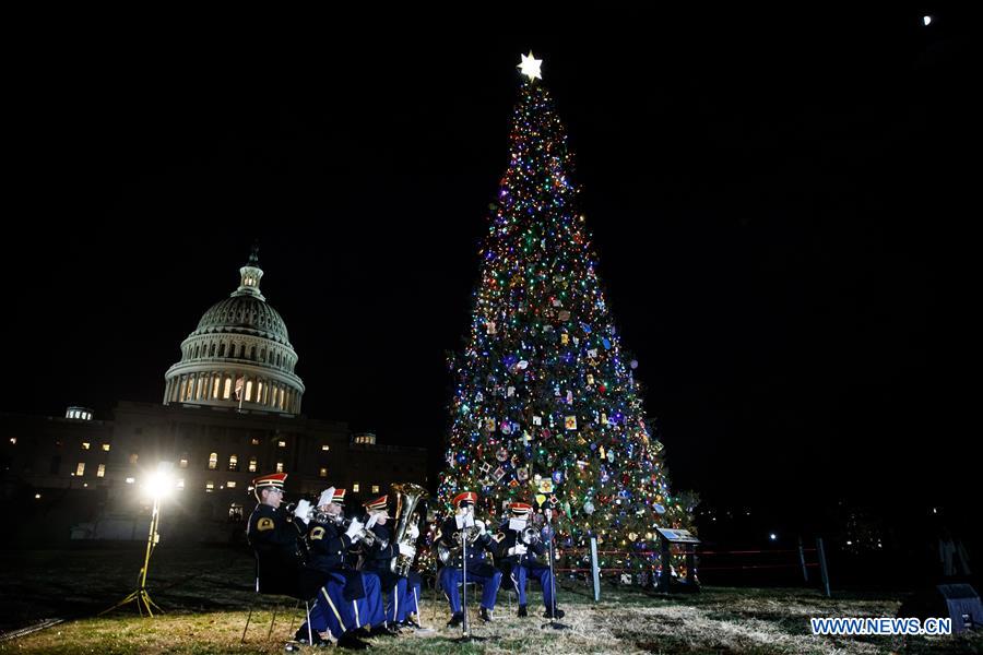 U.S.-WASHINGTON D.C.-CAPITOL CHRISTMAS TREE