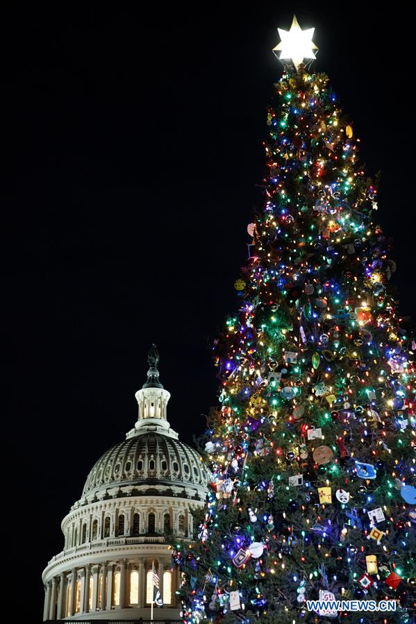 U.S.-WASHINGTON D.C.-CAPITOL CHRISTMAS TREE