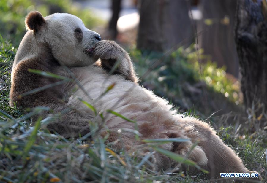 XINHUA PHOTOS OF THE DAY