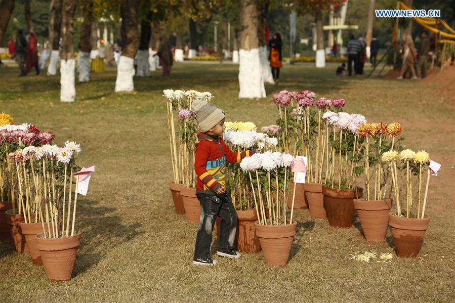 PAKISTAN-ISLAMABAD-CHRYSANTHEMUM-SHOW