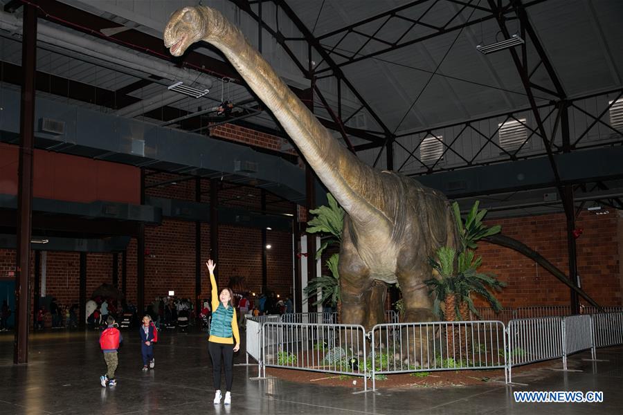 Dinosaur exhibition Jurassic Quest held in Dallas Xinhua English