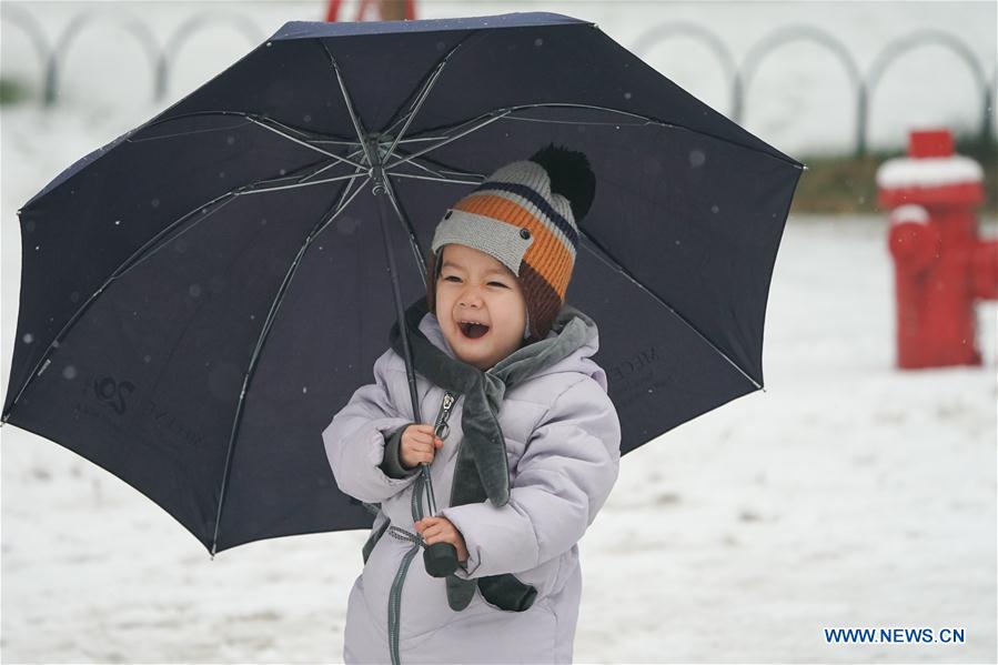 CHINA-BEIJING-SNOWFALL (CN)