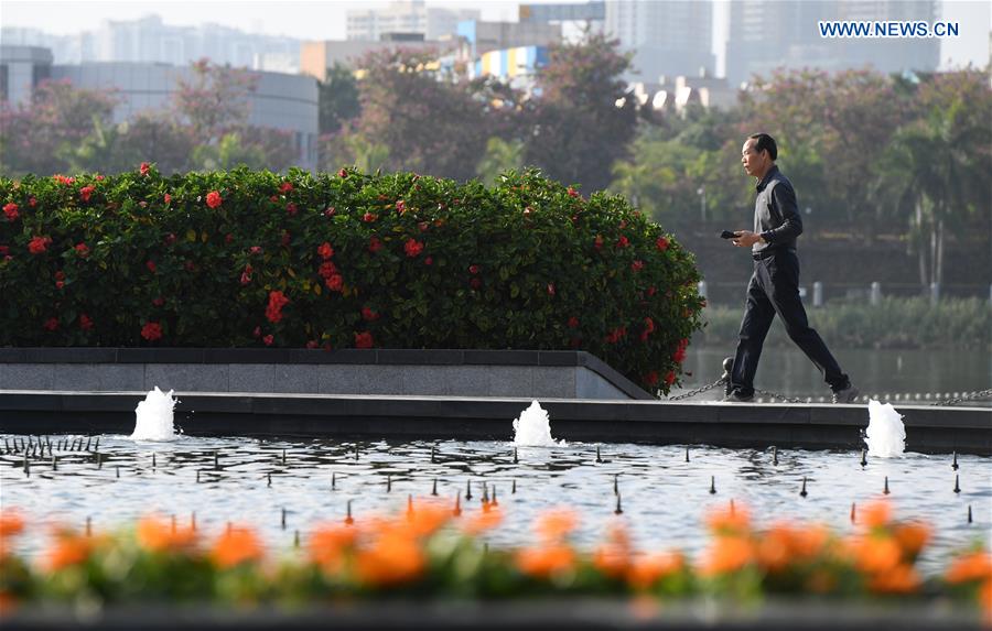 CHINA-GUANGXI-WINTER-FLOWERS(CN)