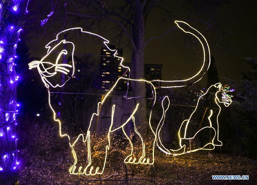 U.S.-CHICAGO-LINCOLN PARK ZOO-LIGHTS