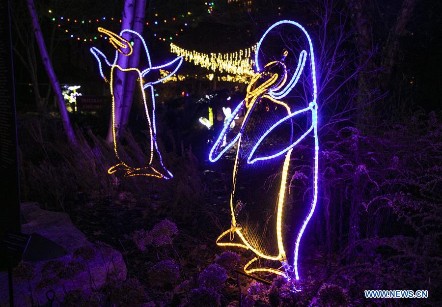 U.S.-CHICAGO-LINCOLN PARK ZOO-LIGHTS