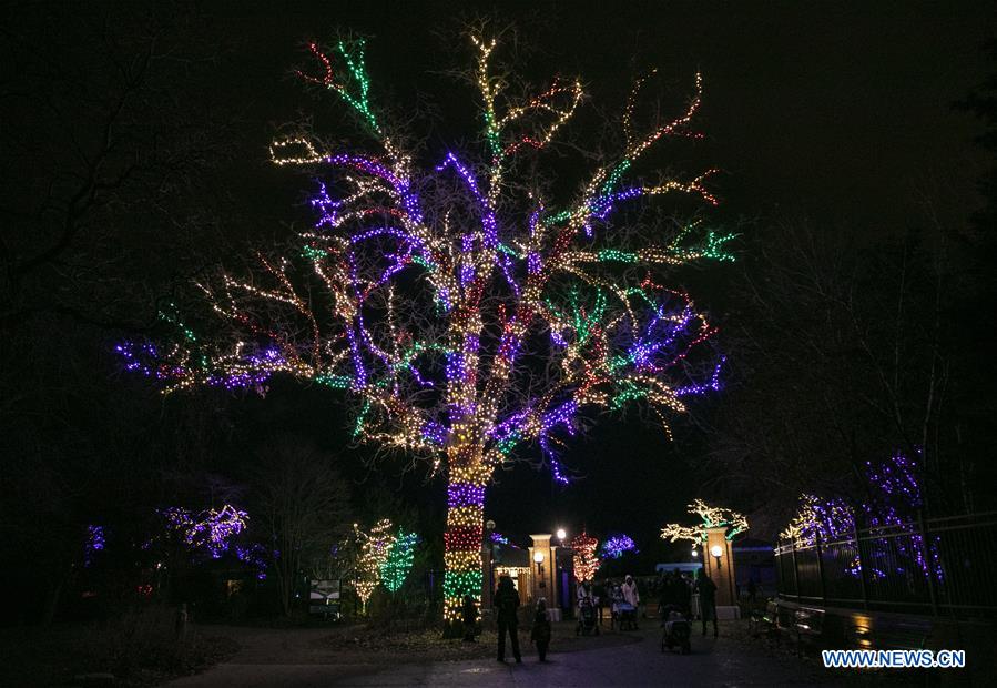 U.S.-CHICAGO-LINCOLN PARK ZOO-LIGHTS