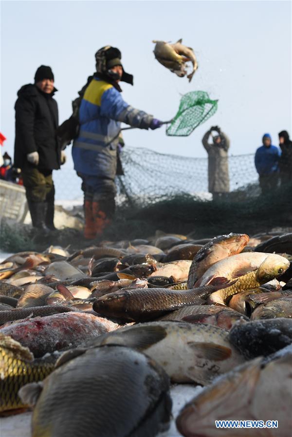 CHINA-INNER MONGOLIA-HULUN BUIR-NUOGAN LAKE-ICE FISHING (CN)