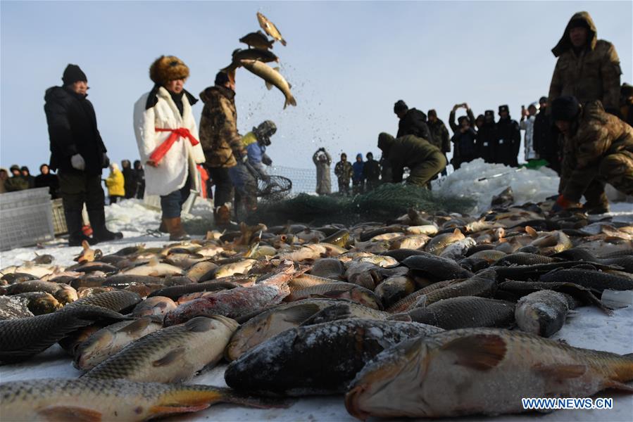 CHINA-INNER MONGOLIA-HULUN BUIR-NUOGAN LAKE-ICE FISHING (CN)