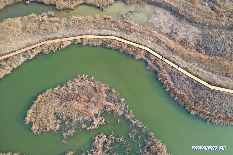 CHINA-HENAN-LUOYANG-YELLOW RIVER-WETLAND-PROTECTION (CN)