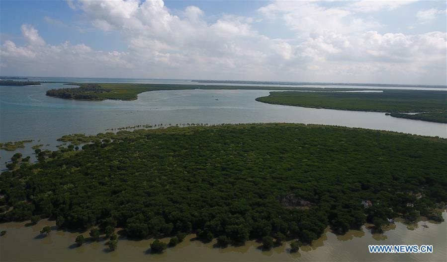 CHINA-HAINAN-MANGROVE RESERVE-GRASSROOT PERSONNEL(CN)