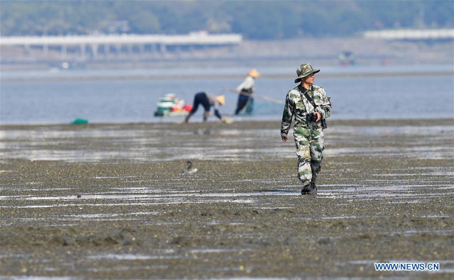 CHINA-HAINAN-MANGROVE RESERVE-GRASSROOT PERSONNEL(CN)