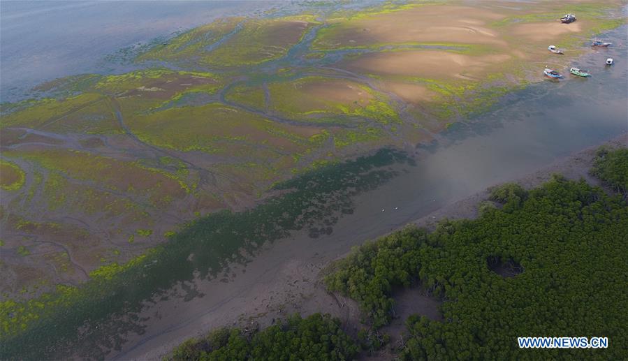 CHINA-HAINAN-MANGROVE RESERVE-GRASSROOT PERSONNEL(CN)