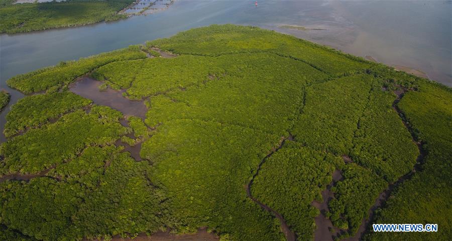 CHINA-HAINAN-MANGROVE RESERVE-GRASSROOT PERSONNEL(CN)