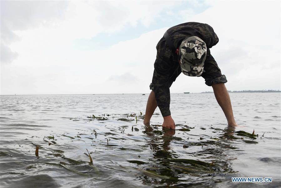 CHINA-HAINAN-MANGROVE RESERVE-GRASSROOT PERSONNEL(CN)