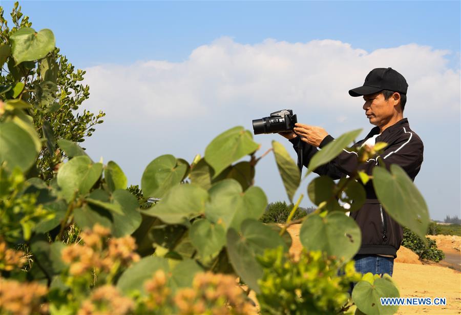 CHINA-HAINAN-MANGROVE RESERVE-GRASSROOT PERSONNEL(CN)