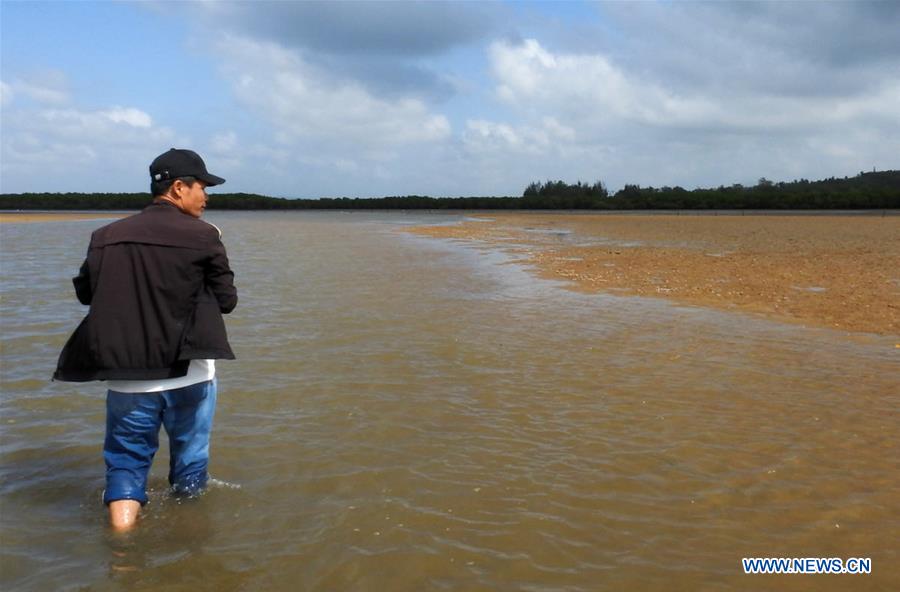 CHINA-HAINAN-MANGROVE RESERVE-GRASSROOT PERSONNEL(CN)