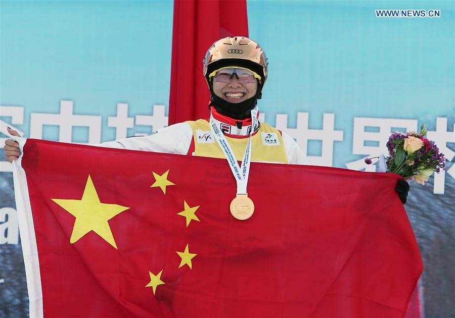 (SP)CHINA-CHANGCHUN-FREESTYLE SKI-AERIAL WORLD CUP-MEN'S FINAL(CN)