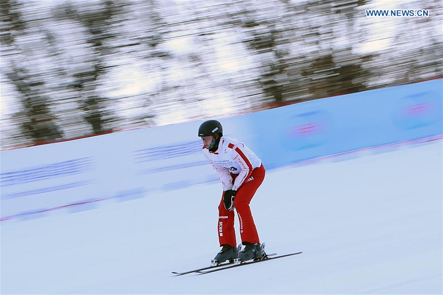 (SP)CHINA-CHANGCHUN-FREESTYLE SKI-AERIAL WORLD CUP-MEN'S FINAL(CN)