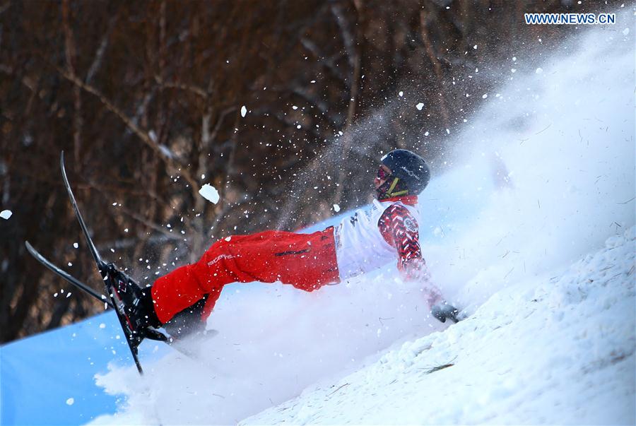 (SP)CHINA-CHANGCHUN-FREESTYLE SKI-AERIAL WORLD CUP-MEN'S FINAL(CN)