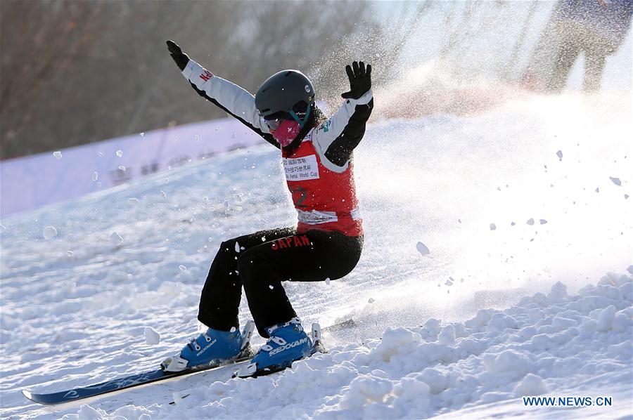 (SP)CHINA-CHANGCHUN-FREESTYLE SKI-AERIAL WORLD CUP-WOMEN'S FINAL(CN)