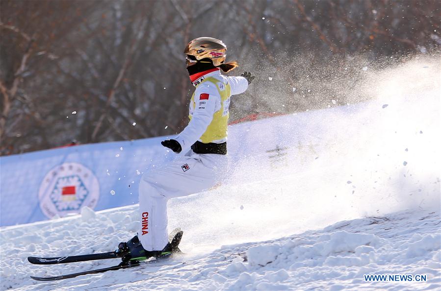 (SP)CHINA-CHANGCHUN-FREESTYLE SKI-AERIAL WORLD CUP-WOMEN'S FINAL(CN)