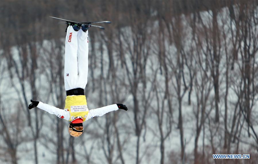 (SP)CHINA-CHANGCHUN-FREESTYLE SKI-AERIAL WORLD CUP-TEAM FINAL(CN)