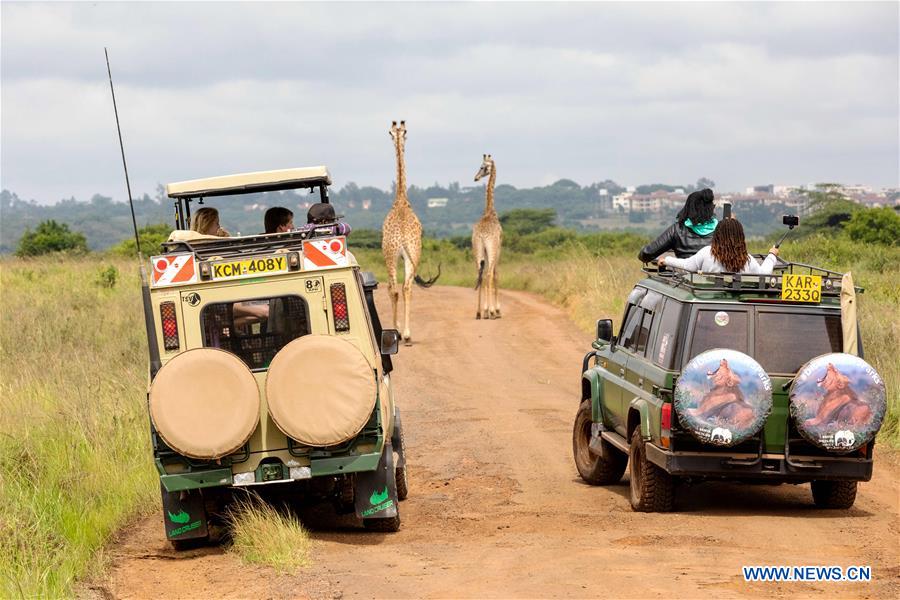 KENYA-NAIROBI-NATIONAL PARK-CHRISTMAS HOLIDAYS-TOURISTS