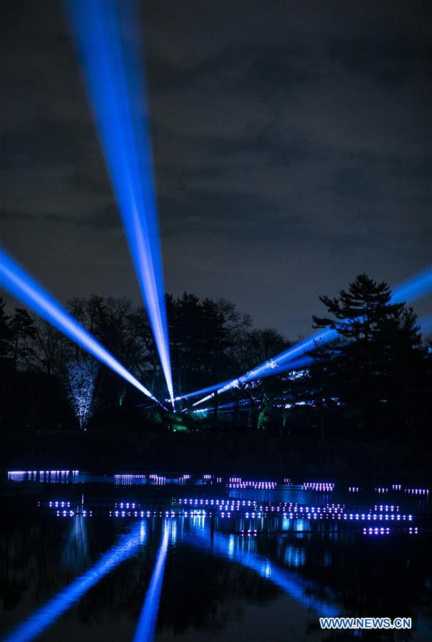  U.S.-LISLE-THE MORTON ARBORETUM-TREE LIGHTS