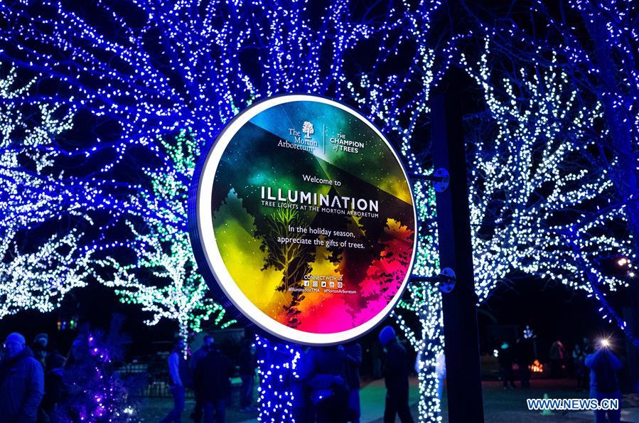  U.S.-LISLE-THE MORTON ARBORETUM-TREE LIGHTS