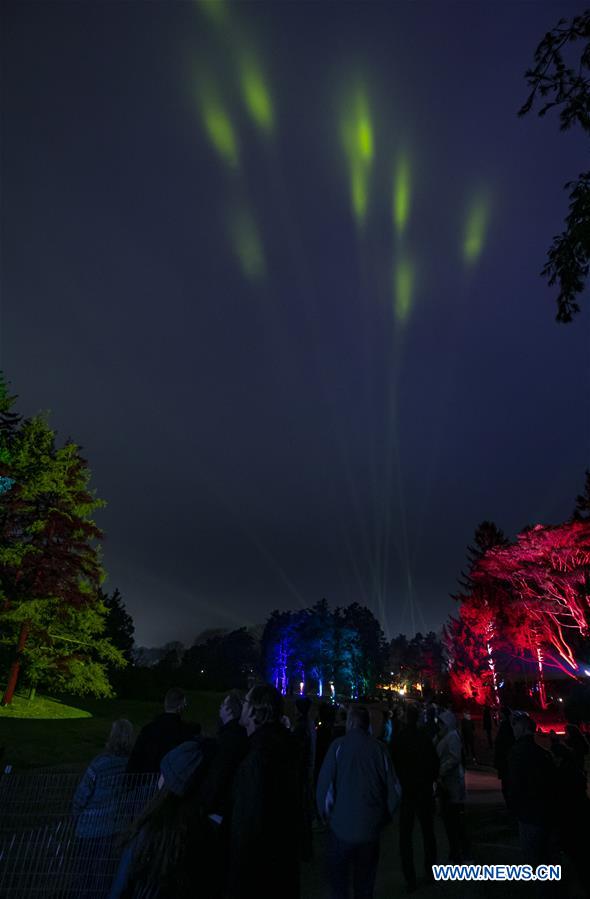  U.S.-LISLE-THE MORTON ARBORETUM-TREE LIGHTS