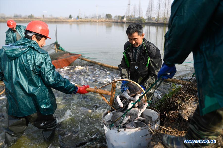 CHINA-ZHEJIANG-HUZHOU-WINTER FISHING (CN)