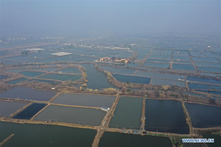 CHINA-ZHEJIANG-HUZHOU-WINTER FISHING (CN)