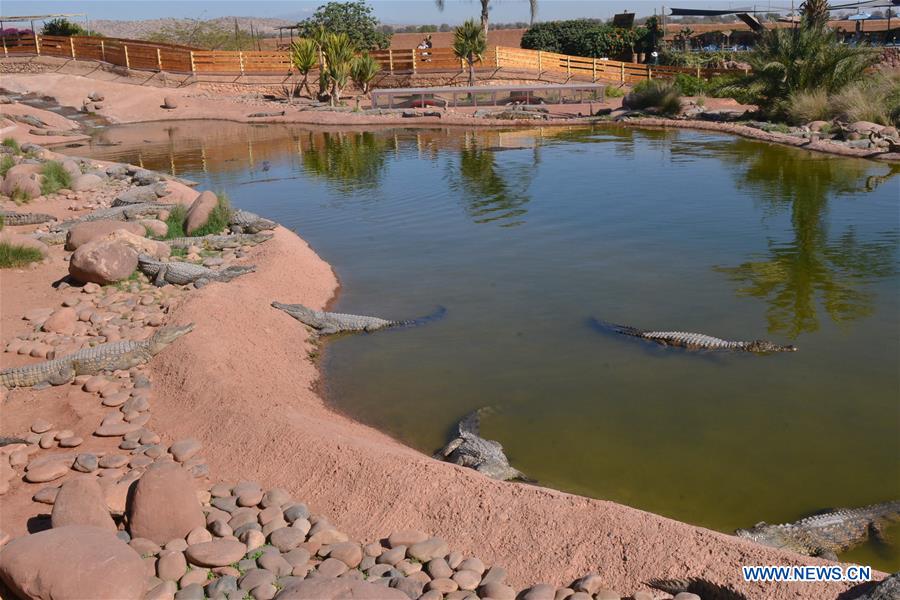 MOROCCO-AGADIR-CROCODILE PARK