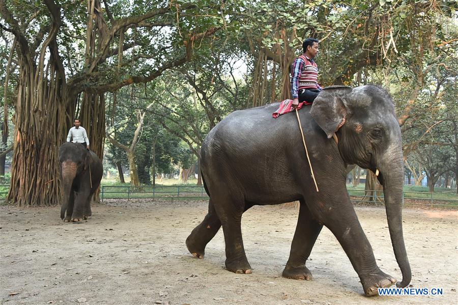 BANGLADESH-DHAKA-ZOO-ANIMALS-TRAINING