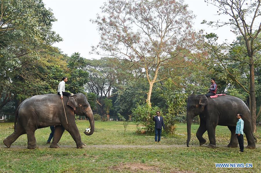 BANGLADESH-DHAKA-ZOO-ANIMALS-TRAINING