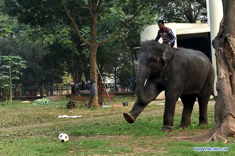 BANGLADESH-DHAKA-ZOO-ANIMALS-TRAINING