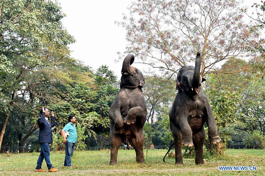 BANGLADESH-DHAKA-ZOO-ANIMALS-TRAINING