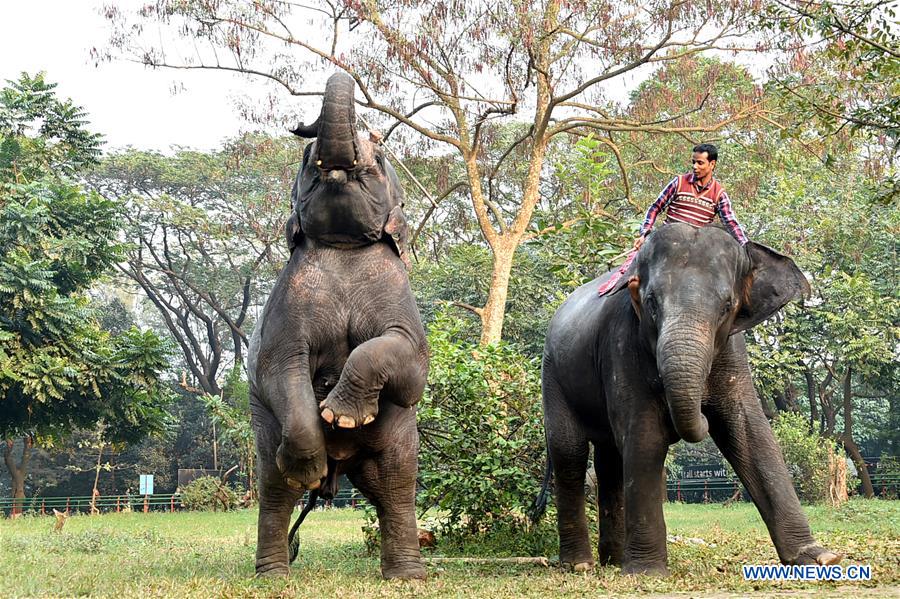 BANGLADESH-DHAKA-ZOO-ANIMALS-TRAINING