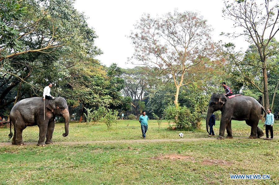 BANGLADESH-DHAKA-ZOO-ANIMALS-TRAINING