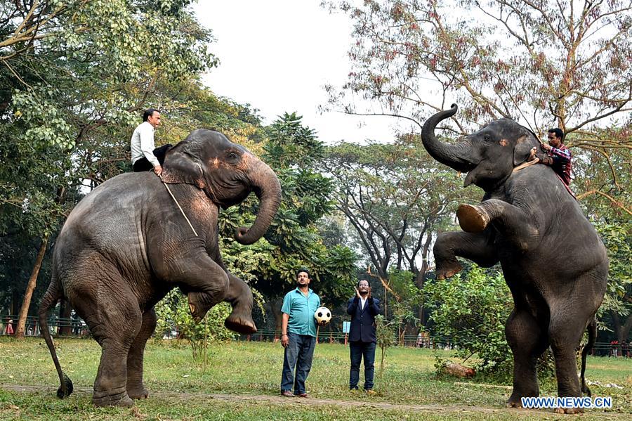 BANGLADESH-DHAKA-ZOO-ANIMALS-TRAINING