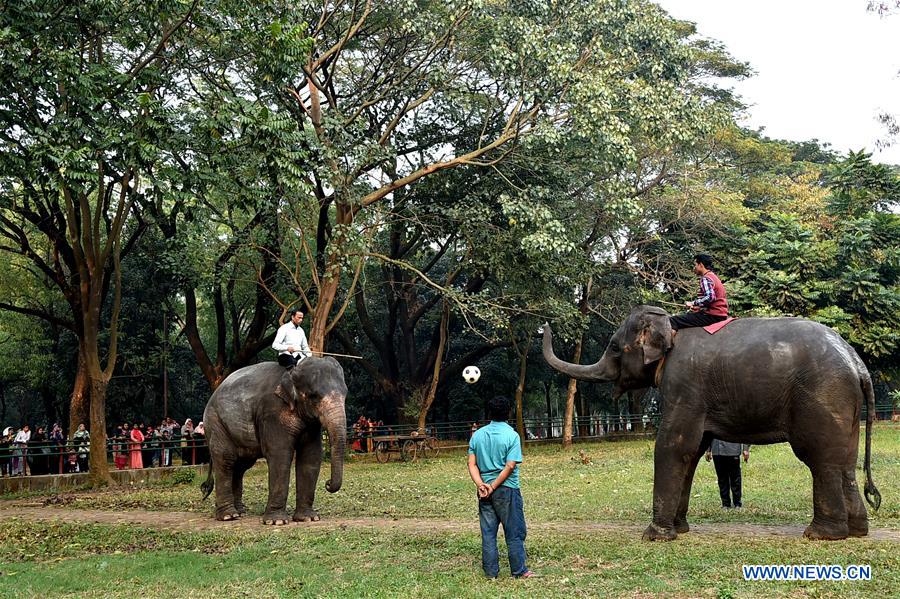 BANGLADESH-DHAKA-ZOO-ANIMALS-TRAINING