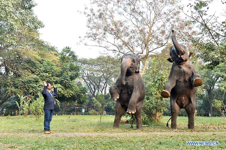 BANGLADESH-DHAKA-ZOO-ANIMALS-TRAINING